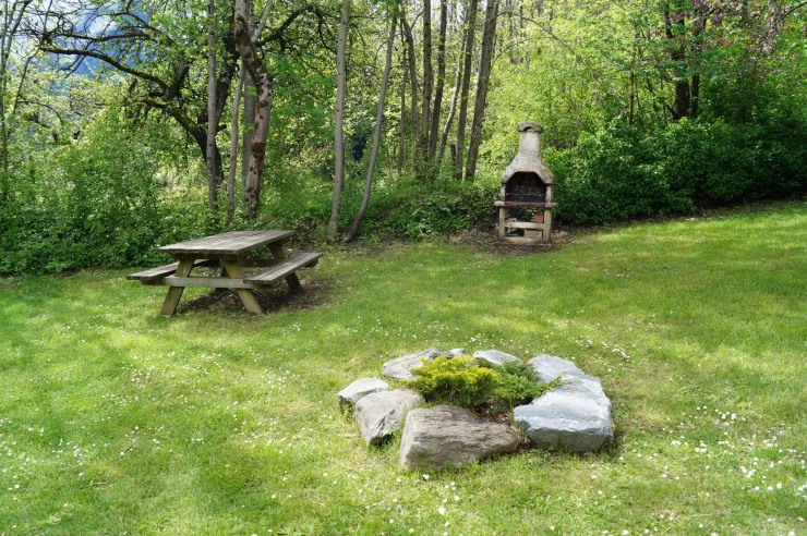 table forestière et barbecu