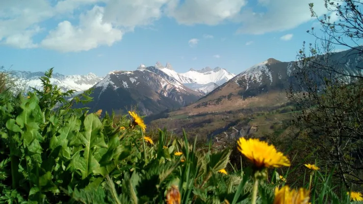 Paysage au printemps