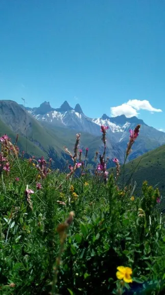 Aiguilles vues des alpages