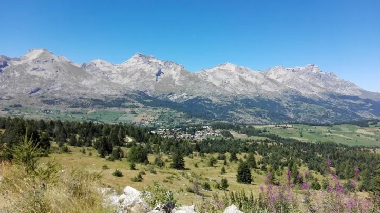 paysage en été