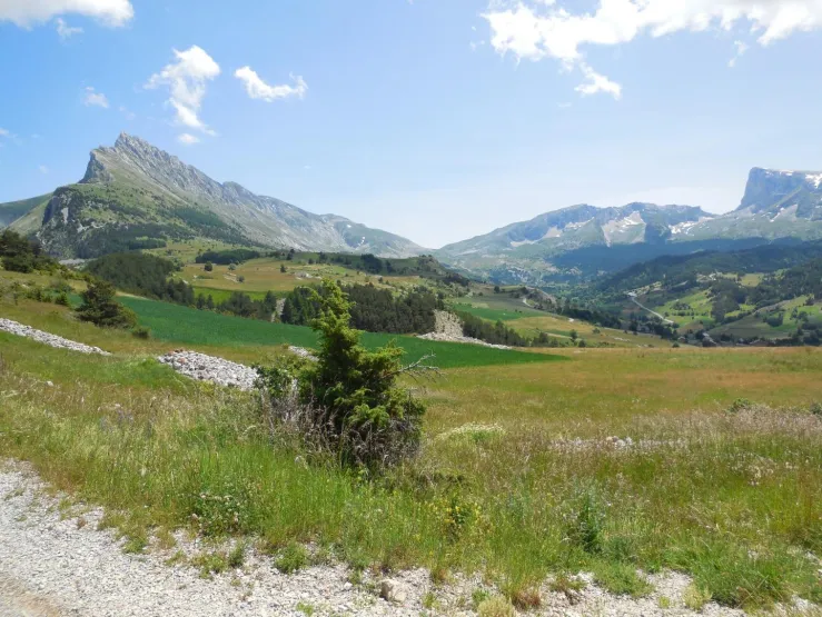 paysage en été