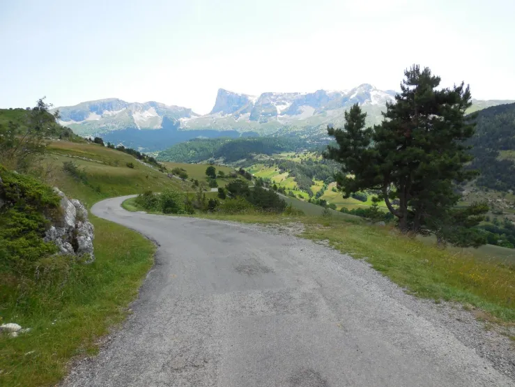 paysage en été