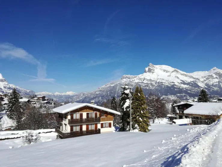 In the background, view of the Aiguilles des Warens mountains