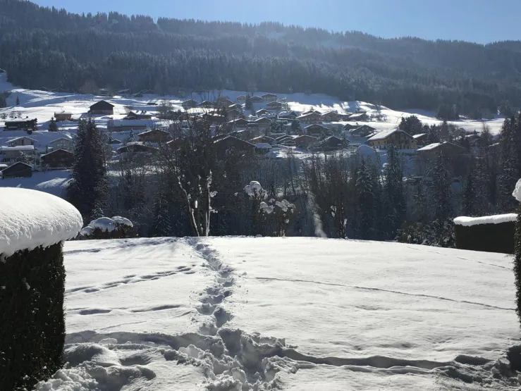 Vue de la terrasse sur le Val d'Arly et les pistes.
