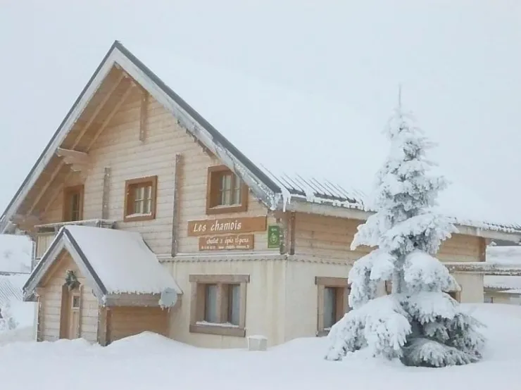 Les Chamois en hiver
