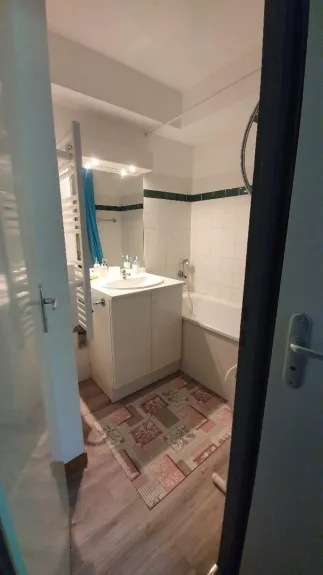 Salle de bain avec lavabo et sèche serviettes