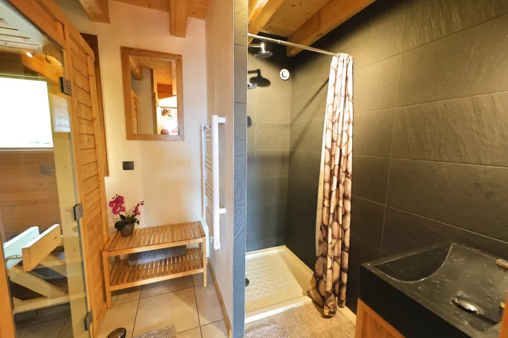 Bathroom, shower, sink and sauna