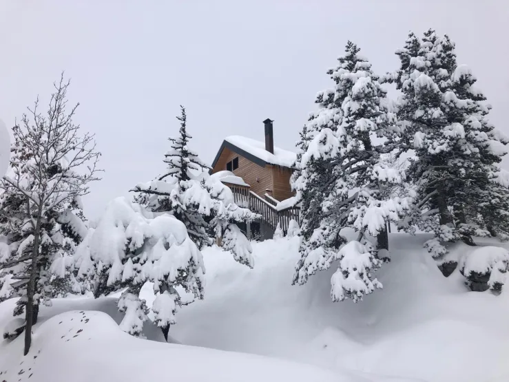 Vue du chalet dans son environnement coté terrasse et passerelle