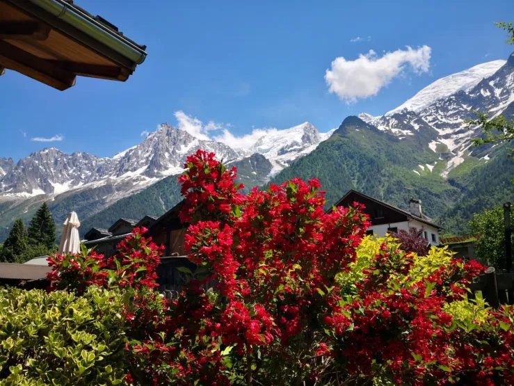 La vue en été