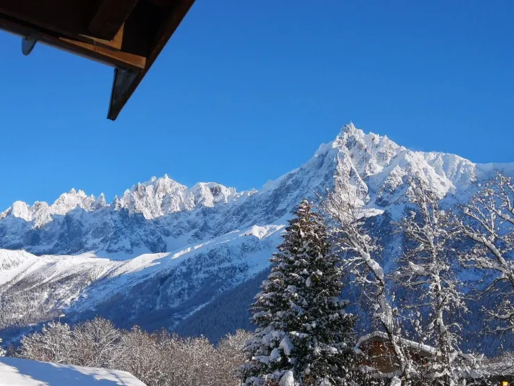 La vue en hiver