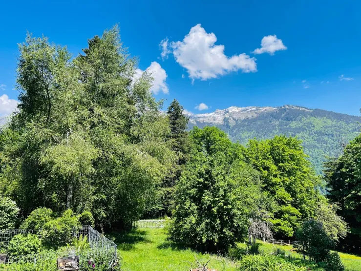 The garden in spring