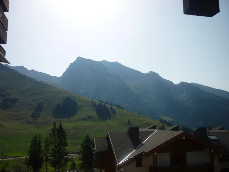 le paysage en été