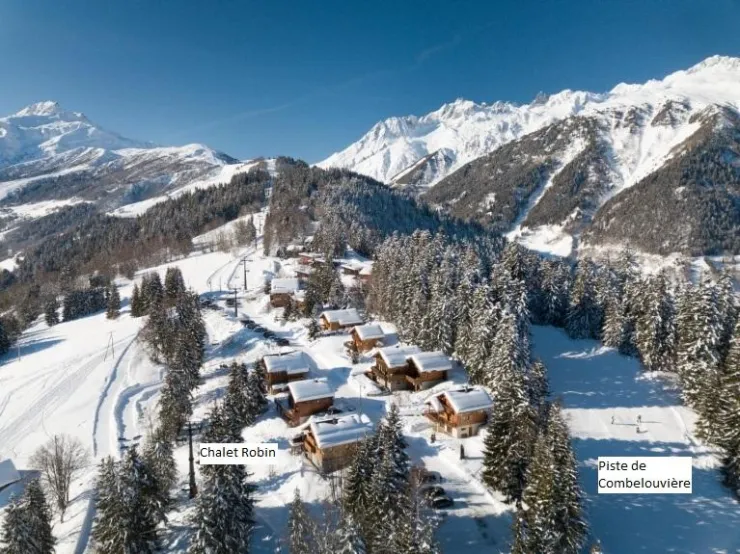 Aerial view (the chalet, the slope 50 meters away.