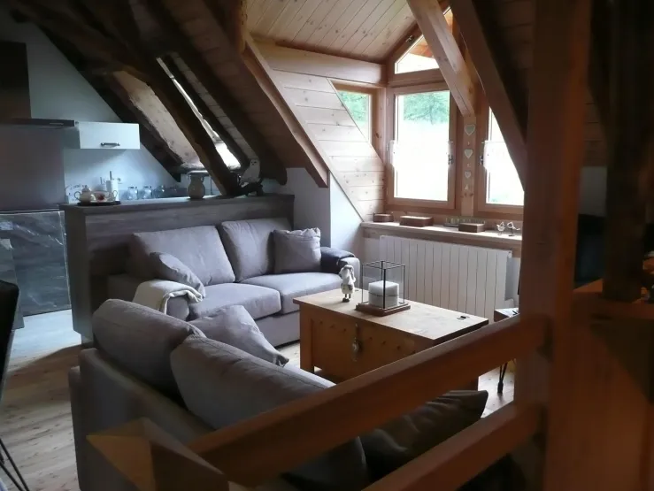 Salon avec lucarne en fond