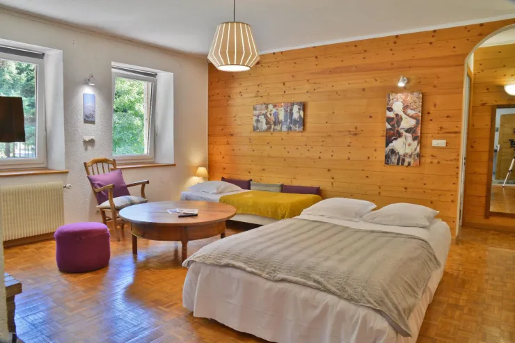 Le salon avec lits convertibles ouverts.