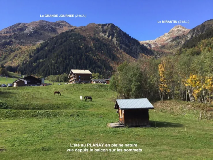 Vue depuis le séjour et la terrasse.