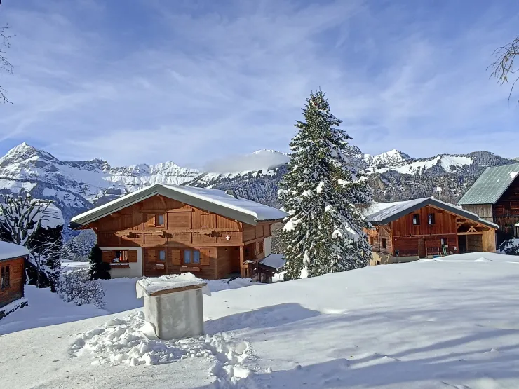 the view in front of the location