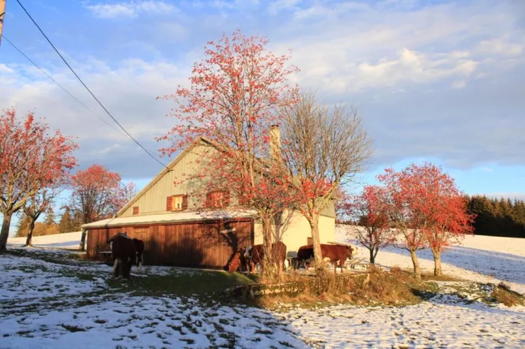 Chalet en Automne