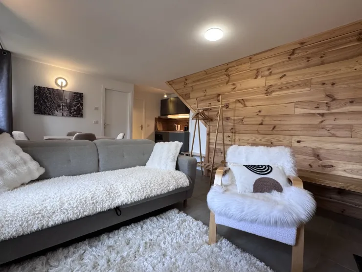 Pièce de vie, avec canapé-lit double de haute qualitée