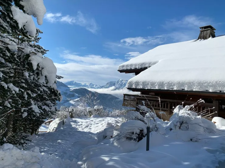 Snow view