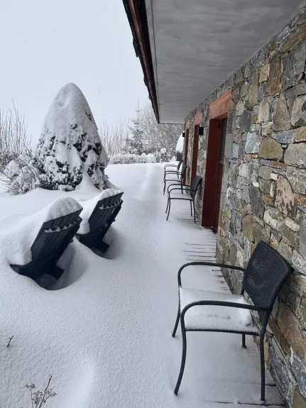Terrace at the level garden