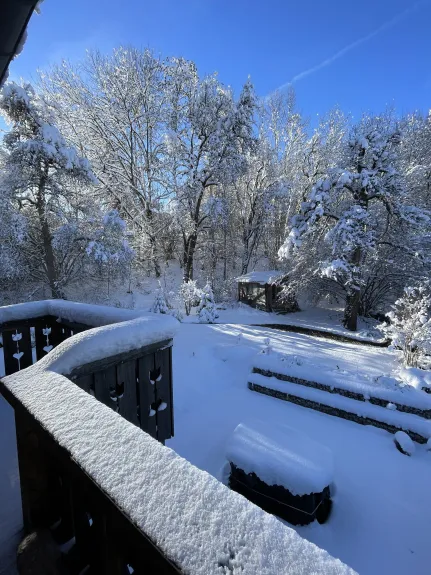 garden view in winter