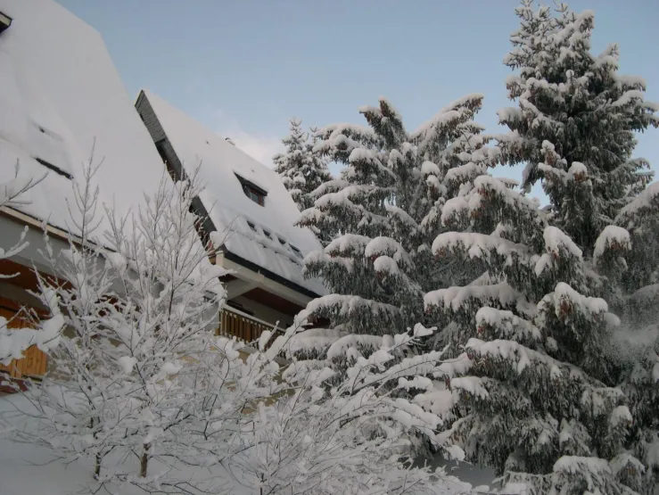 CHALET COTE JARDIN (POSSIBILITÉ DE FAIRE DE LA LUGE EN BAS DU CHALET)
