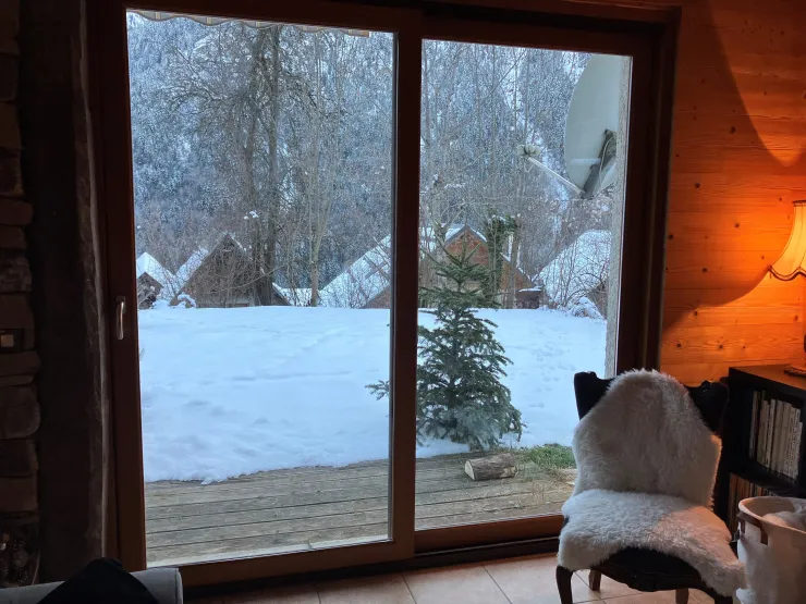 the garden in winter