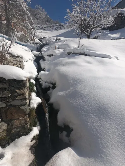 Le petit ruisseau au fond de la terrasse