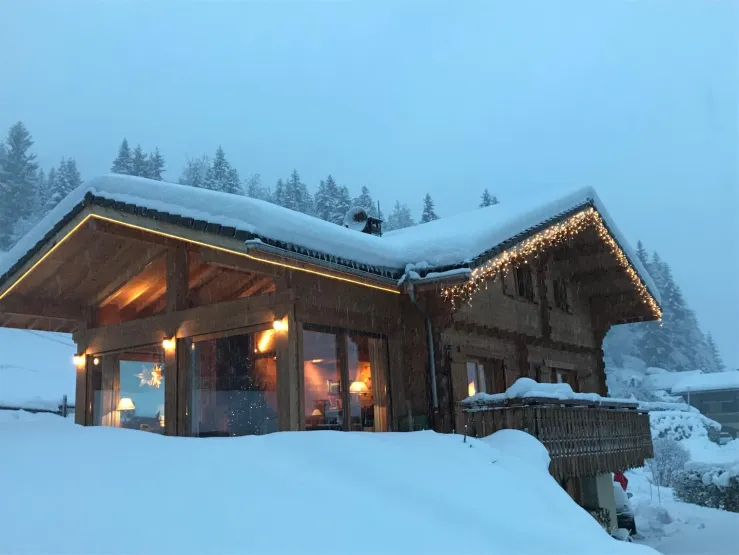 Sous la neige en hiver