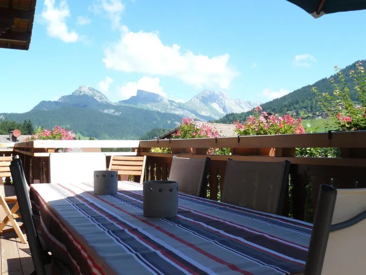 Vue de la terrasse en été