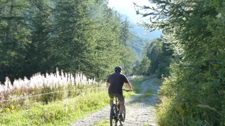 Sur les chemins, en été