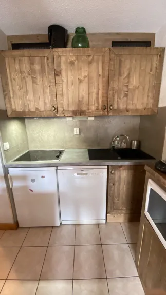 Kitchen area with fridge, dishwasher and ceramic hob