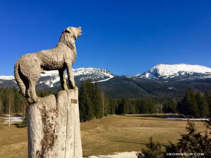 sculpture d'un "patou" ( excellent chien de garde des troupeaux mettant en fuite les prédateurs spécialement les loups !) vue du superbe parcours de golf 18 trous de Corrençon, au fond: massif de la grande moucherolle et petite moucherolle.