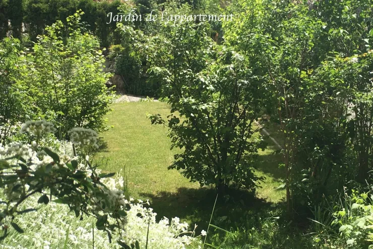 Jardin privatif