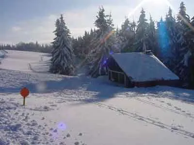 Pistes de ski de fond à La Bresse.
