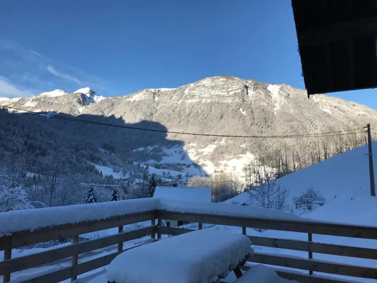 Vue depuis la terrasse en hiver