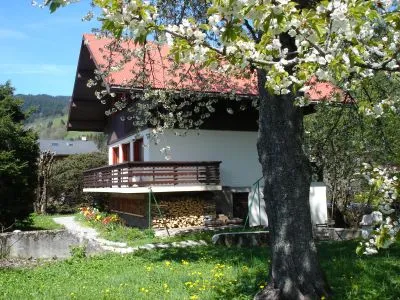 vue du chalet depuis le jardin