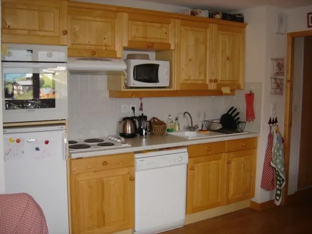 Coin cuisine : placards, frigo, four traditionnel, four à micro-ondes, lave-vaisselle, plaque électrique...