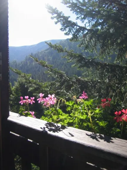 Premiers rayons de soleil le matin,dans la véranda.