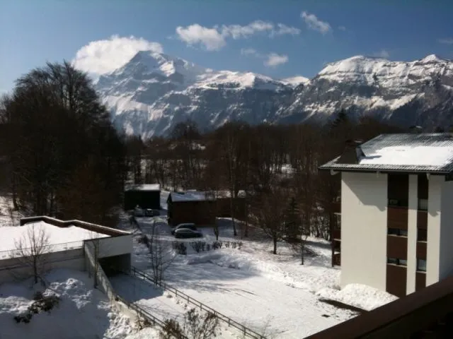 vue du balcon, (ou assis sur le canapé),  sur la pointe d'Areu sous la neige