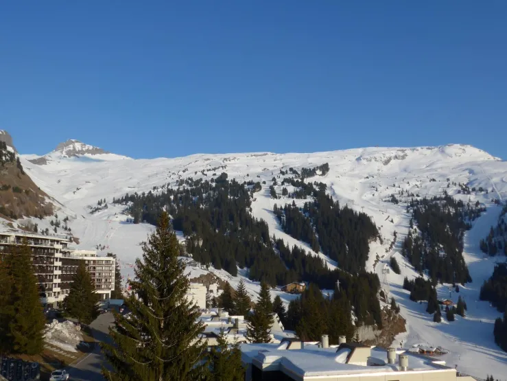 Toujours depuis le balcon  du studio fin Avril
