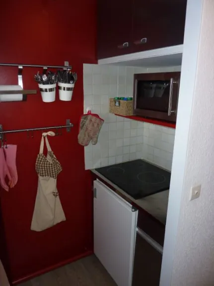 kitchenette, coté droit: réfrigérateur, plaque à induction, micro ondes -grill, rangements