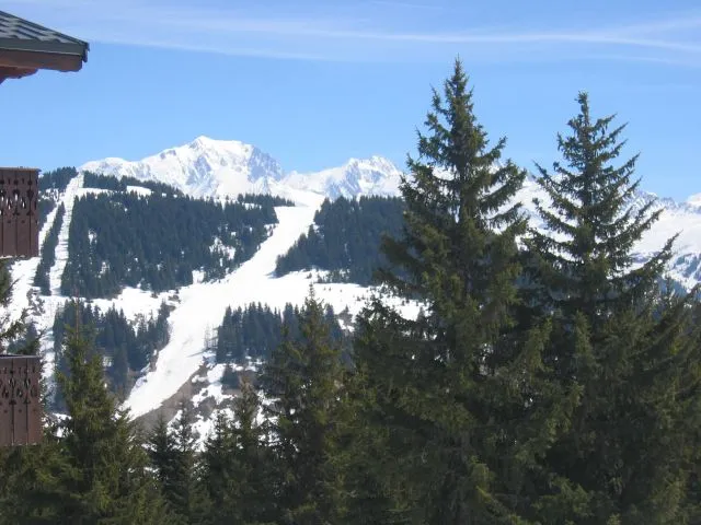 Lovely view of the Mont Blanc and on the slopes of the Legette
