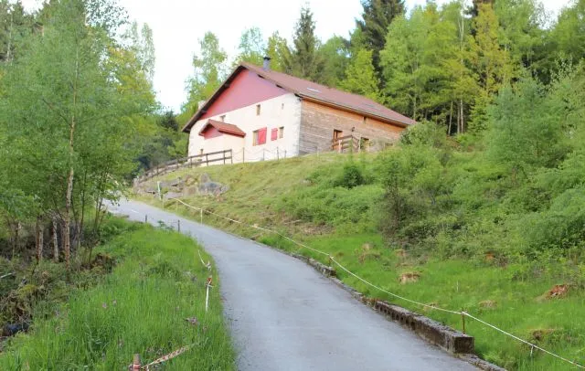 arrivée à la maison 