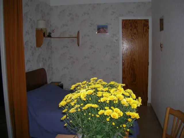 Alcove avec lit de 140.