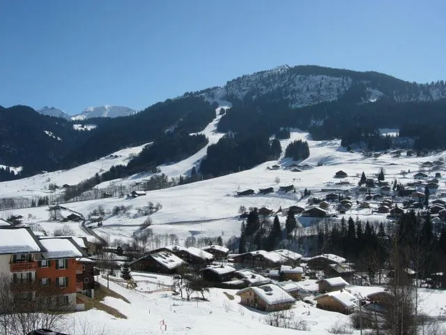 les pistes de ski vues du chalet