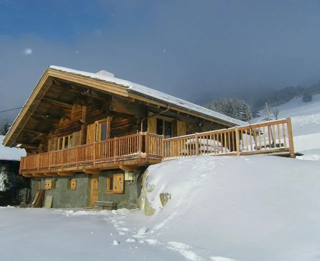 Vue aval du chalet - terrasse en lauzes exposée sud accessible depuis grande chambre du bas