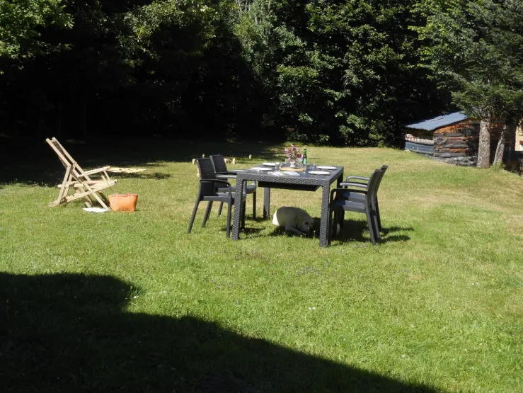 L'espace derrière la maison en été .