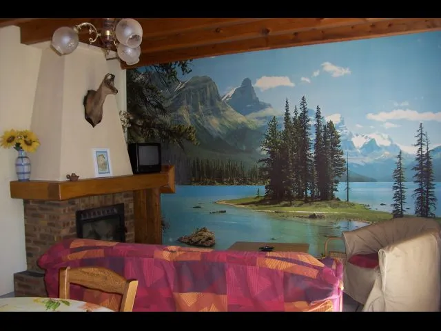 salon avec cheminée(insert à bois)